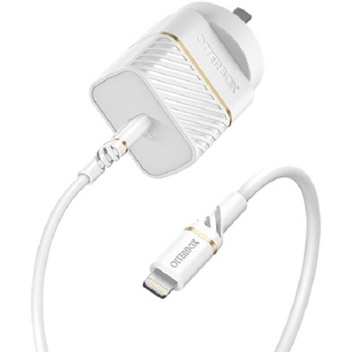 iPad And iPhone Lightning Chargers